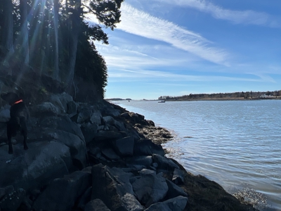 Coastal Land for Sale - image 5