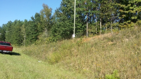Land for sale near thr Broad River Cherokee County SC - image 3