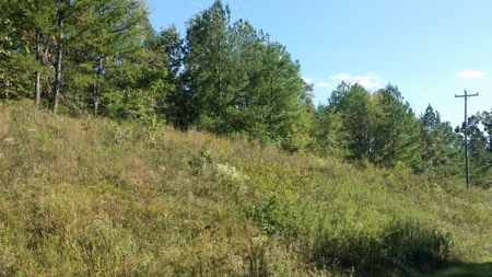 Land for sale near thr Broad River Cherokee County SC - image 7