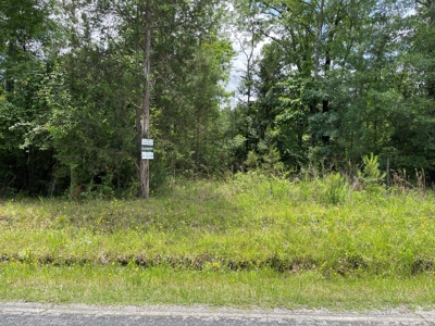 Land for sale near thr Broad River Cherokee County SC - image 12