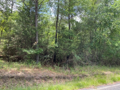 Land for sale near thr Broad River Cherokee County SC - image 10