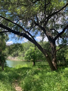 Beautiful Nueces Riverfront Ranchette in South Texas! - image 2