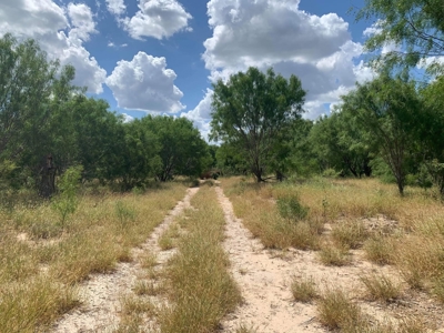 Beautiful Nueces Riverfront Ranchette in South Texas! - image 7
