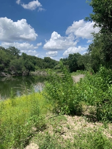Beautiful Nueces Riverfront Ranchette in South Texas! - image 4