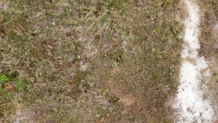 Coastal Equestrian Lot for Sale Beaufort NC - image 20
