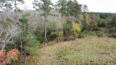 Coastal Equestrian Lot for Sale Beaufort NC - image 14