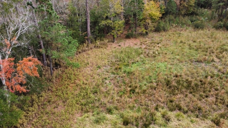 Coastal Equestrian Lot for Sale Beaufort NC - image 13
