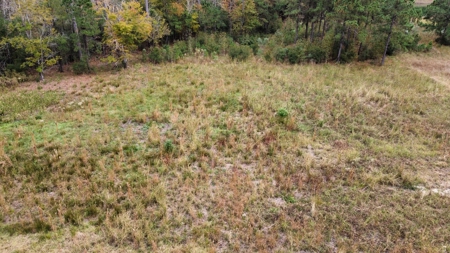 Coastal Equestrian Lot for Sale Beaufort NC - image 12