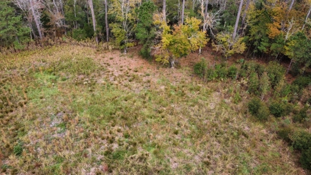 Coastal Equestrian Lot for Sale Beaufort NC - image 21