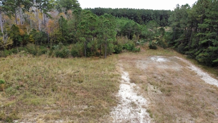 Coastal Equestrian Lot for Sale Beaufort NC - image 15