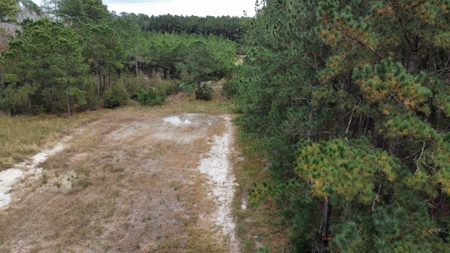 Coastal Equestrian Lot for Sale Beaufort NC - image 16