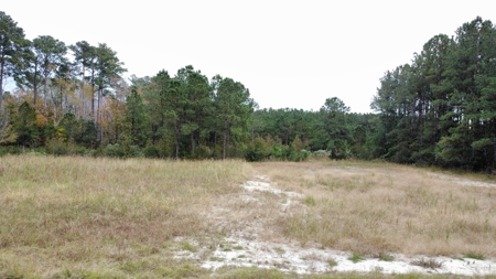 Coastal Equestrian Lot for Sale Beaufort NC - image 10