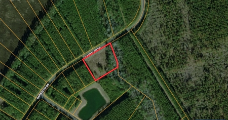 Coastal Equestrian Lot for Sale Beaufort NC - image 32