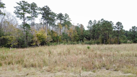Coastal Equestrian Lot for Sale Beaufort NC - image 11