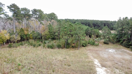 Coastal Equestrian Lot for Sale Beaufort NC - image 19