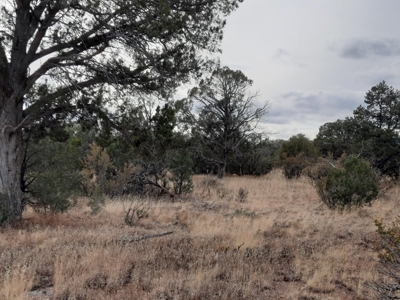 Very Private - image 4