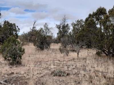 Very Private - image 6