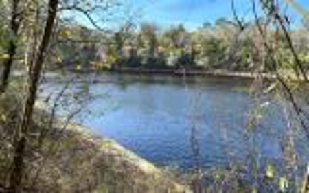River Front Property - Live Oak Florida! - image 13