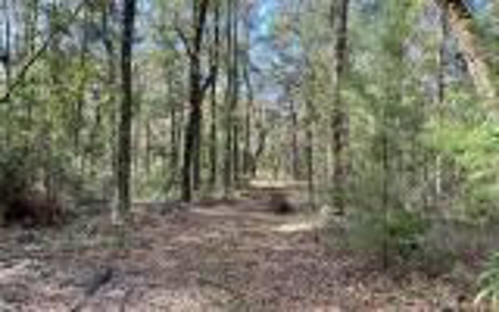 River Front Property - Live Oak Florida! - image 19