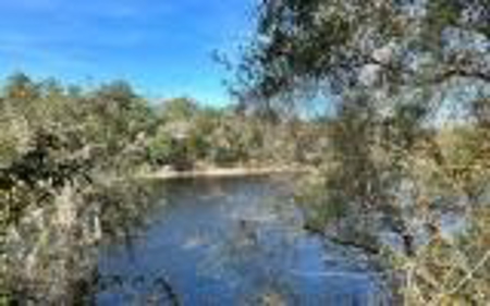 River Front Property - Live Oak Florida! - image 15