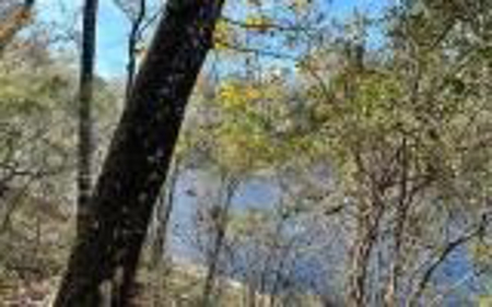 River Front Property - Live Oak Florida! - image 10