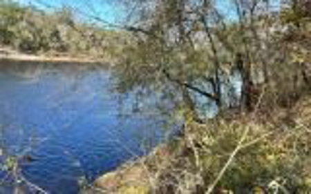 River Front Property - Live Oak Florida! - image 9
