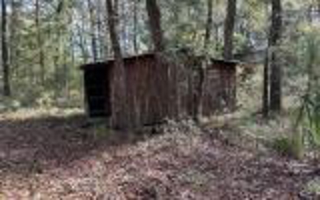 River Front Property - Live Oak Florida! - image 20