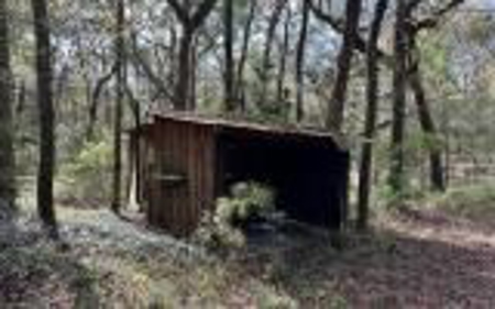 River Front Property - Live Oak Florida! - image 21