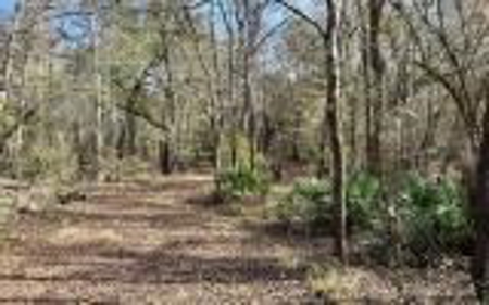 River Front Property - Live Oak Florida! - image 16