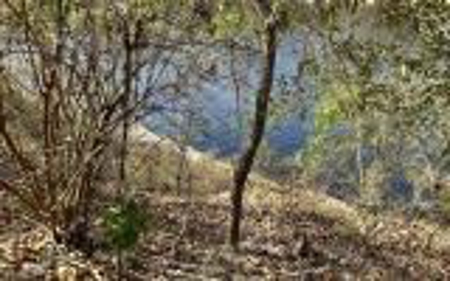 River Front Property - Live Oak Florida! - image 3