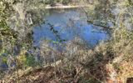 River Front Property - Live Oak Florida! - image 14