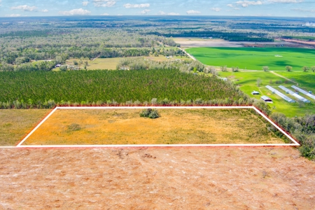 Acerage For Sale In Live Oak, Suwannee County, Florida - image 1