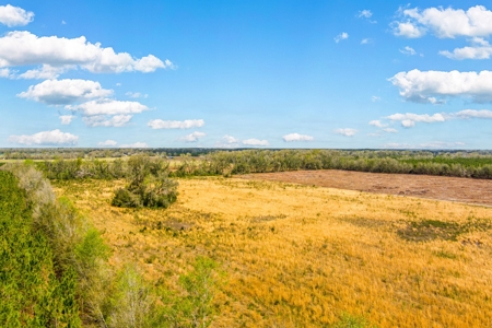 Acerage For Sale In Live Oak, Suwannee County, Florida - image 9