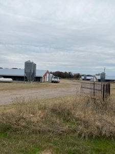 East Texas Commercial Poultry Farm For Sale - image 7