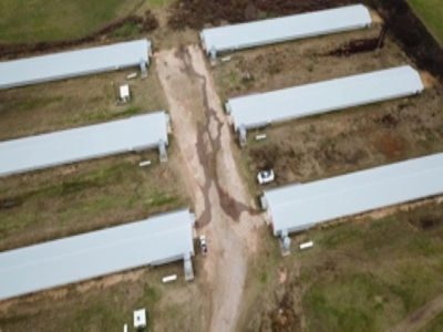East Texas Commercial Poultry Farm For Sale - image 8