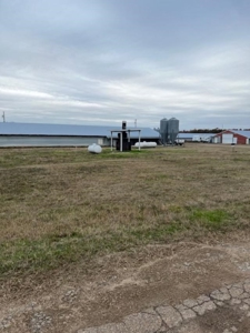 East Texas Commercial Poultry Farm For Sale - image 2