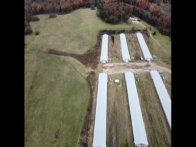 East Texas Commercial Poultry Farm For Sale - image 9