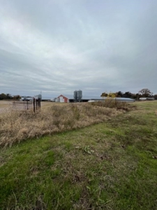 East Texas Commercial Poultry Farm For Sale - image 6