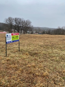 Online Auction 3-Prime Commercial Development Parcels - image 17