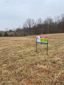 Online Auction 3-Prime Commercial Development Parcels - image 16