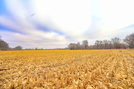 Land For Sale Cass County Mo - image 47