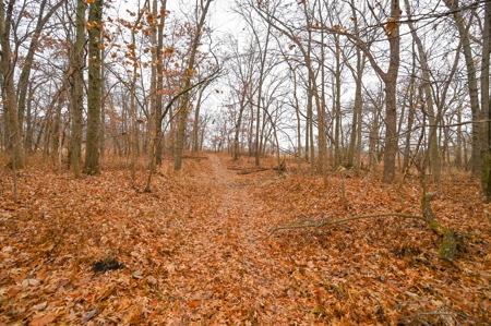 Land For Sale Cass County Mo - image 49