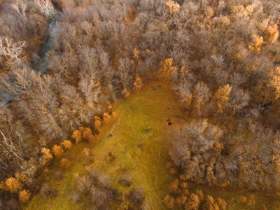 Land For Sale Cass County Mo - image 30