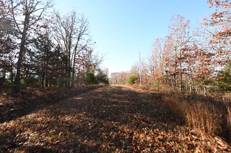 Land For Sale Benton County Mo - image 6