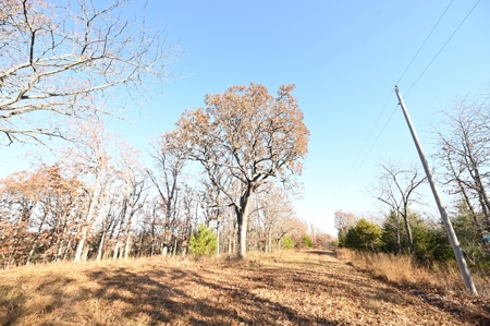 Land For Sale Benton County Mo - image 4