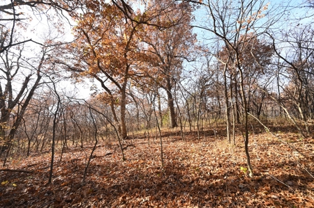 Land For Sale Benton County Mo - image 2