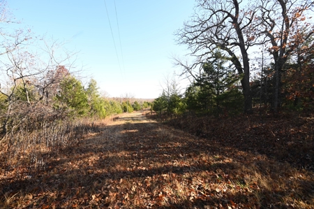 Land For Sale Benton County Mo - image 5