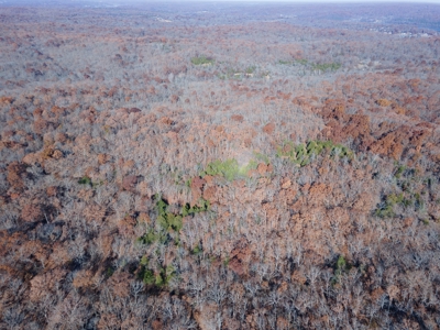 Land For Sale Benton County Mo - image 1