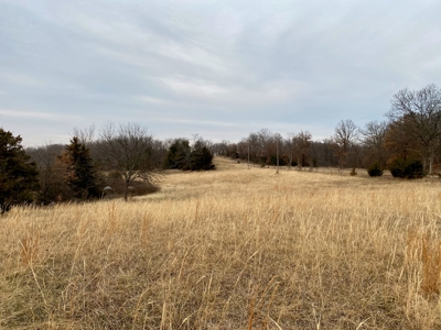 Ray County Missouri Hunting Land For Sale - image 3