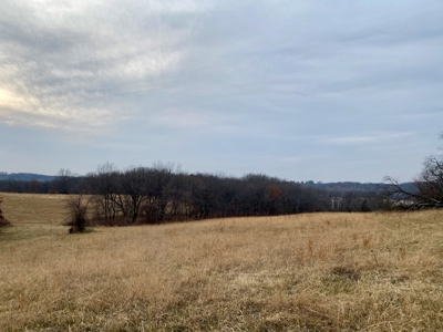 Ray County Missouri Hunting Land For Sale - image 9